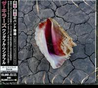 KILLERS - Wonderful Wonderful