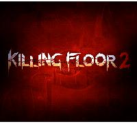 Killing Floor 2 PC Steam Account