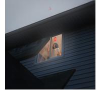 KILLS BIRDS - CRAVE [VINYL]