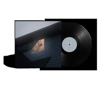 KILLS BIRDS - CRAVE [VINYL]