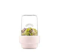 Kilner 0.5L Sprouting Set Glass Jar with Stainless Steel Lid Ceramic Base & Recipe Booklet Ideal for Growing Broccoli Beans Radish Lentils BPA-Free Sustainable Dishwasher Safe