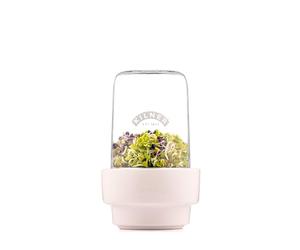 Kilner 0.5L Sprouting Set Glass Jar with Stainless Steel Lid Ceramic Base & Recipe Booklet Ideal for Growing Broccoli Beans Radish Lentils BPA-Free Sustainable Dishwasher Safe