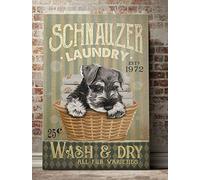 KILSPU Schnauzer Laundry Poster Animal Home Decor Bathroom Metal Sign 8x12 Inch