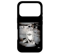 Kim Gordon Sonic Youth Sister Era By Phil Nicholls Case for iPhone 17 Pro