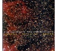Kim Salmon Grand Unifying Theory US CD album CDLP LTID089 Low Transit Industries 2010