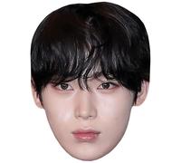 Kim Sunoo (Fringe) Big Head. Larger than life mask.