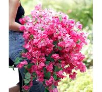 Kimbovillea 20Pcs - Artificial Bougainvillea Flowers, 30.5 inch Silk Floral Stems, Hanging Bougainvillea Vines for Home Decoration & Wedding