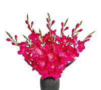 kimbovillea Pack of 10 - Artificial Gladiolus Silk Orchids Flower Stems Fake Dendrobium Flowers Daffodils for Home Garden Party Wedding Decoration (Fuchsia)