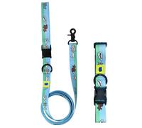 KimhaChan Pet Collar & Leash Set - Mixed, Soft Yet Durable Webbing, Non-Irritating, Adjustable, Welded D-Ring, Made in Korea, Orange, Sky Blue, Black, Mixed