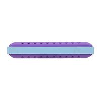 KIMISS 10 Hole Kids Harmonica - Safe Resin Mouth Organ Beginners - Purple Jazz & Folk Harmonica (Bicolor-Purple)