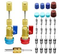 KIMISS 31 PCS R134A Valve Core Quick Remover Installer Tool Set - High/Low Pressure Valve Core Remover, AC Service Port Cap Kit for Refrigerant Air Conditioning Systems