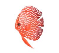 KIMISS Aquarium Artificial Fish, Ing Fake Tropical Tank Ornament Decoration Ornaments Funny Luminous Silicone Lifelike Moving Fishes Decorations with Suction Cup (Colorful Immortal)