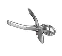 KIMISS Chestnut Opener 304 Stainless Steel Nutcracker Tool - Portable Sh Chestnut Cutter with Ergonomic Grip for Easy Nut Shell Opening