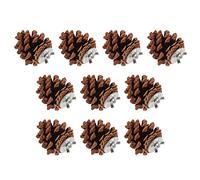 KIMISS Christmas Pinecones Fall, 10pcs Bird Bite Pine Cones Cone Chewing Garland Decorations Toys Toy for Parakeet Cockatiel Conure Finch Budgie Macaw Tree Ornaments L