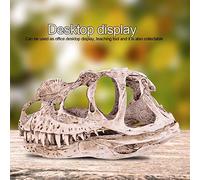 KIMISS Lifelike Resin Dinosaur Skull Model - Home Office Decor & Teaching Prop for Dinosaur Enthusiasts - 18cm Desktop Craft