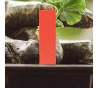 KIMISS Plastic Plant Labels - 100 Pcs Garden for Flowers, Seedlings, Durable PVC Markers for Use (Red)