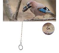 KIMISS Stainless Steel Pet Birds Foot Chain Anklet Training Harness - Outdoor Fly Training Activity - Agapornis (For peonies)
