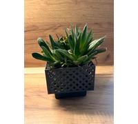 Kimmel Planter, Gray, 13 cm