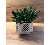 Kimmel Planter, White, 11 cm