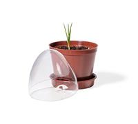 Kimmel Propagation Pot Set of 12 with Practical Storage Box, Plastic