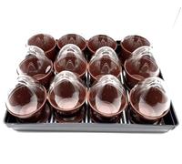Kimmel Propagation pots, Brown, Mittelgroße