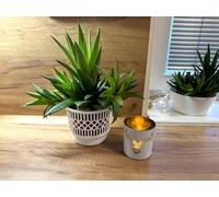 Kimmel Set of 3 Classic Planters 11 cm Colour White for Indoor Plants Succulent Pot Cactus Pot Plant Pot Orchid Pot Decorative Pot