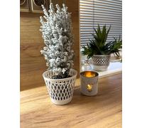 Kimmel Set of 3, White, 12cm