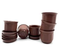 Kimmel Set of 6, Brown, 6.5 cm