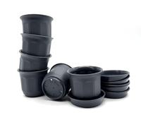 Kimmel Set of 6, Gray, 6.5 cm