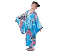Kimono Costume Dress Silk Fabric Flower Prints Cultural Robe