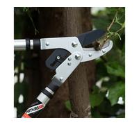 Kimura-Pro 301-Telescopic Ratchet Loppers Premium Japanese Sk5 Steel Blades Heavy Duty Extendable Anvil Tree Branch Cutters