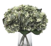 Kimura's Cabin 6pcs Artificial Silk Hydrangea Flowers Faux Hydrangea Flower Stems Fake Bouquets for Home Table Centerpieces Wedding Baby Shower Party Decoration (Mint Green)
