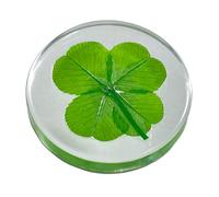 KIN-HEBI Real Four Leaf Clover Good Luck Pocket Token, Preserved, 3.2 cm