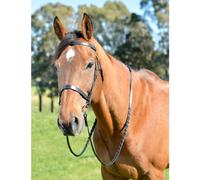 Kincade Classic Flat Hunt Bridle with Reins Black for Horses - Cob