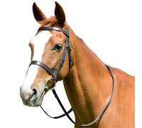 Kincade Classic Flat Hunt Bridle with Reins Black for Horses - Pony