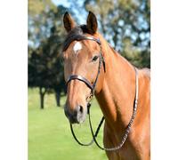 Kincade Classic Flat Hunt Bridle with Reins, Brown, Pony