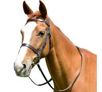 Kincade Classic Flat Hunt Bridle with Reins, Brown, Full
