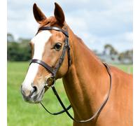 Kincade Classic Flat Hunt Bridle With Reins - Brown - Size: Pony