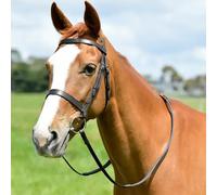 Kincade Classic Flat Hunt Bridle with Reins, Black, Full