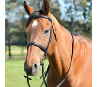Kincade Classic Cavesson Bridle - Plain Raised with Reins, Black, Pony