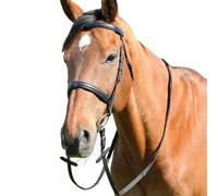 Kincade Classic Plain Raised Cavesson Bridle with Reins, Black, Warmblood