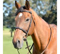 Kincade Classic Plain Raised Cavesson Bridle with Reins, Brown, Full