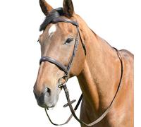 Kincade Classic Plain Raised Cavesson Bridle with Reins, Brown, Warmblood