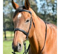 Kincade Classic Plain Raised Cavesson Bridle with Reins, Black, Cob