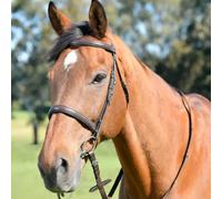 Kincade Classic Plain Raised Cavesson Bridle with Reins, Brown, Cob