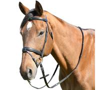 Kincade Classic Plain Raised Flash Bridle with Reins - Cob · Black