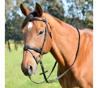 Kincade Classic Plain Raised Flash Bridle With Reins - Black - Size: Cob