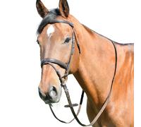 Kincade Bridle – Classic Plain Raised Flash with Reins – Brown, Full
