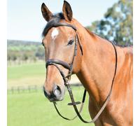 Kincade Classic Plain Raised Flash Bridle With Reins - Brown - Size: Pony