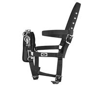 Kincade Coordinate Lunge Cavesson, Black, Cob